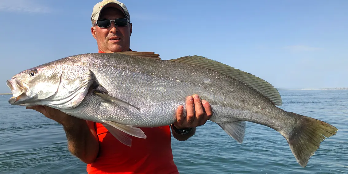 frederic steffan xtreme tuna fishing guide sortie peche en mer au bar maigre dorade lieu seiche sur bayonne et anglet au pays basque 64 et capbreton dans les landes 40