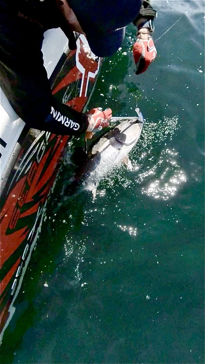 xtreme tuna fishing sortie peche au thon anglet bayonne pays basque capbreton landes