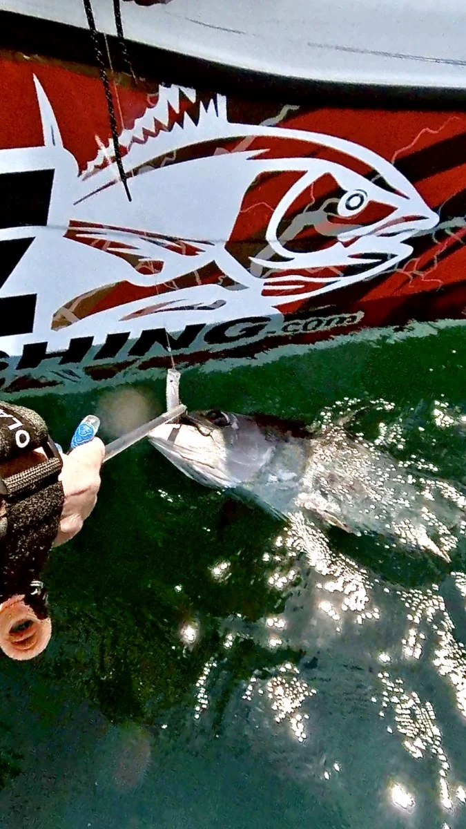 xtreme tuna fishing sortie peche au thon anglet bayonne pays basque capbreton landes