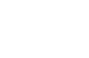 logo federation francaise des moniteurs guides de peche
