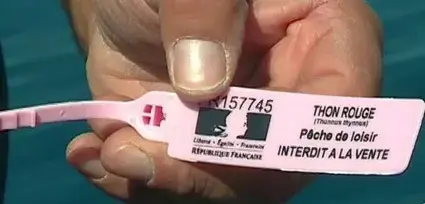 obtention bague et reglementation francaise peche thon rouge atlantique bayonne anglet biarritz saint jean de luz pays basque 64 et capbreton landes 40